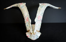 Load image into Gallery viewer, Ram Skull Cap