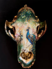 Load image into Gallery viewer, Bear Skull *read listing details*
