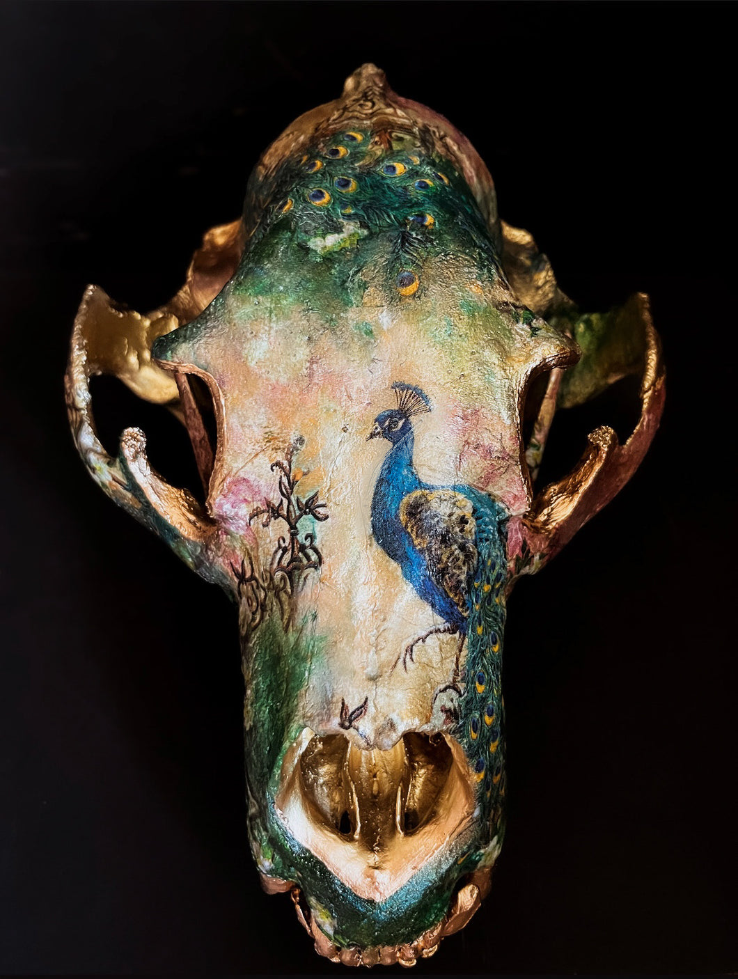 Bear Skull *read listing details*