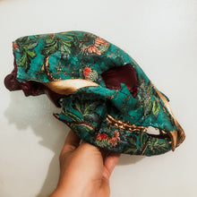 Load image into Gallery viewer, Bear Skull
