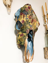 Load image into Gallery viewer, Cow Skull
