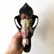 Load image into Gallery viewer, Coyote Skull
