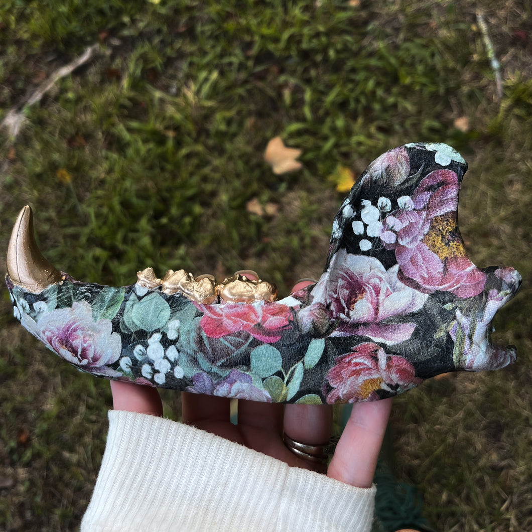 Bear Jawbone