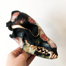 Load image into Gallery viewer, Coyote Skull
