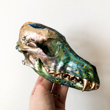 Load image into Gallery viewer, Coyote Skull
