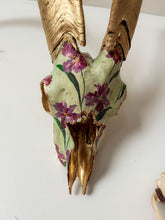 Load image into Gallery viewer, Ram Skull
