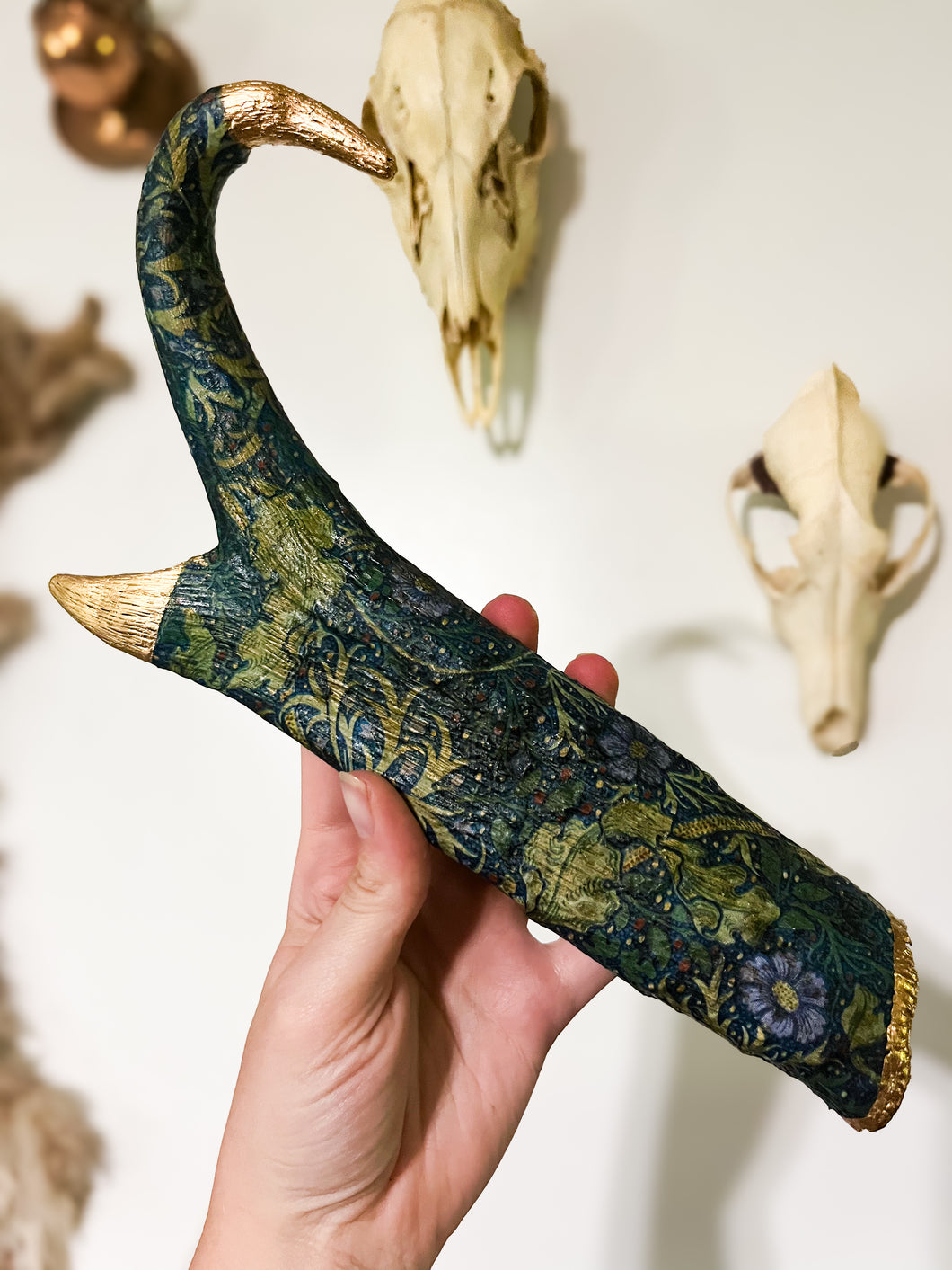 Pronghorn Antelope Horn