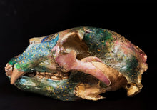 Load image into Gallery viewer, Bear Skull *read listing details*

