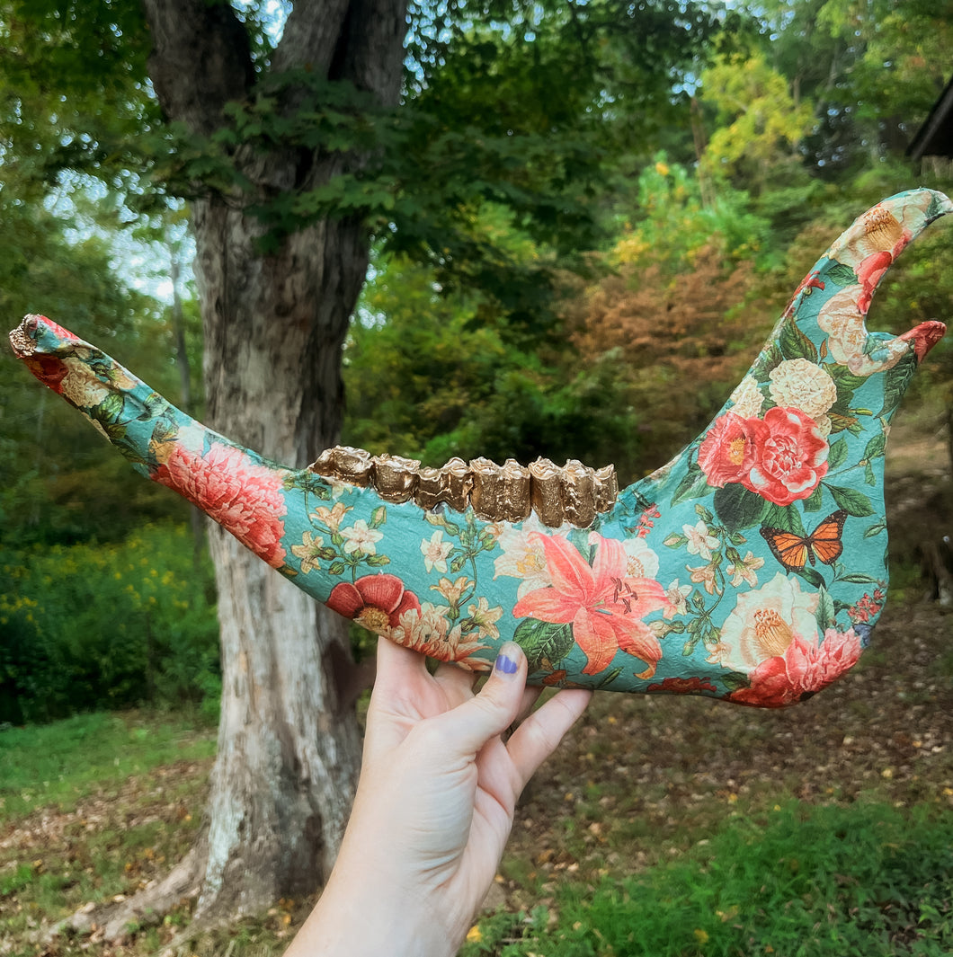Cow Jawbone