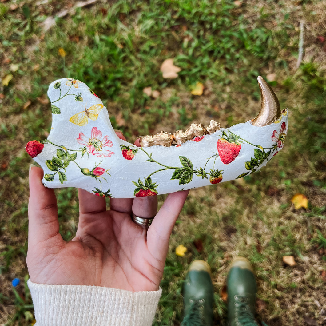 Bear Jawbone