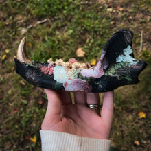 Load image into Gallery viewer, Bear Jawbone
