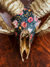 Load image into Gallery viewer, Ram Skull

