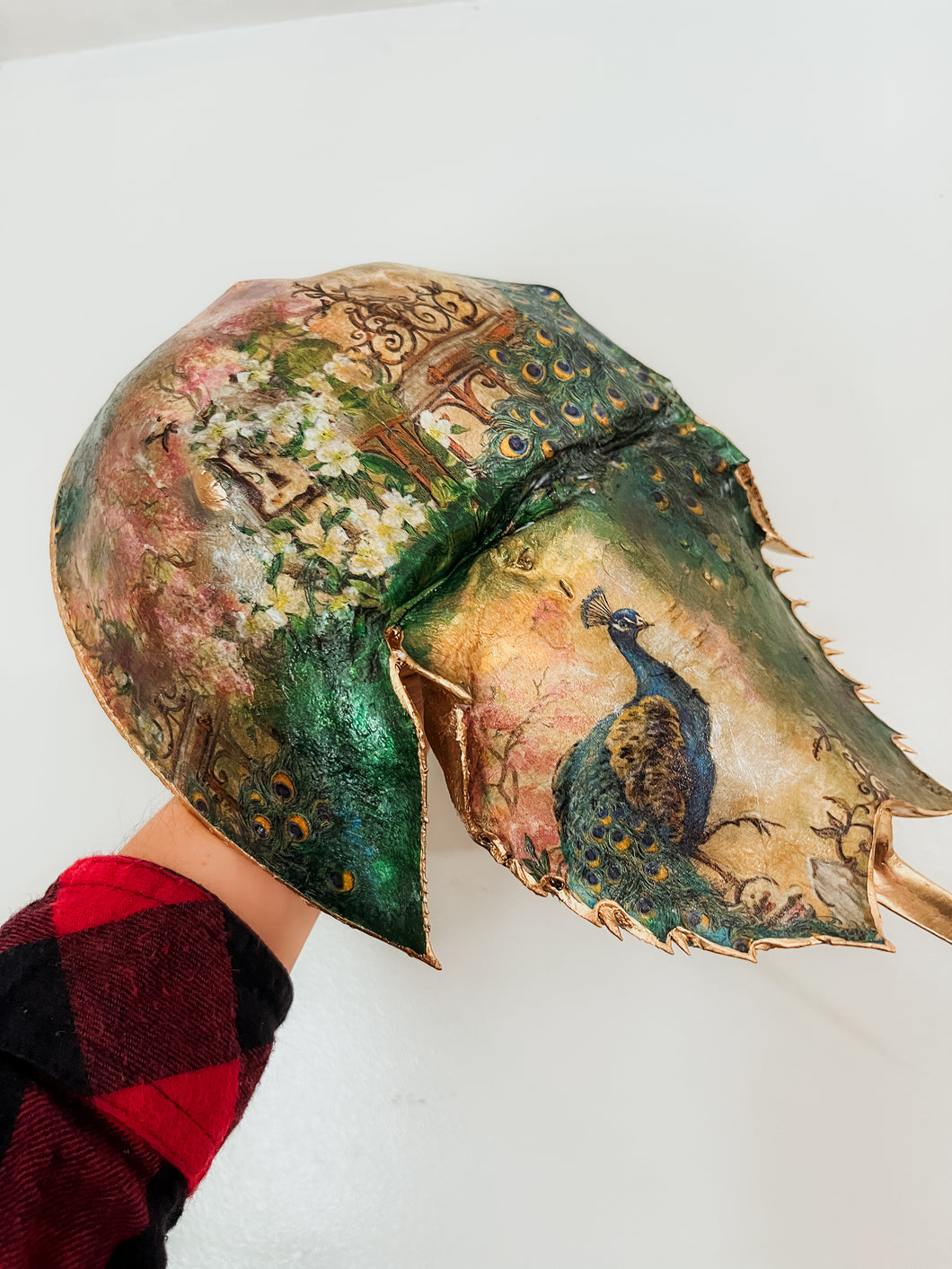 Horseshoe Crab