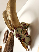 Load image into Gallery viewer, Ram Skull
