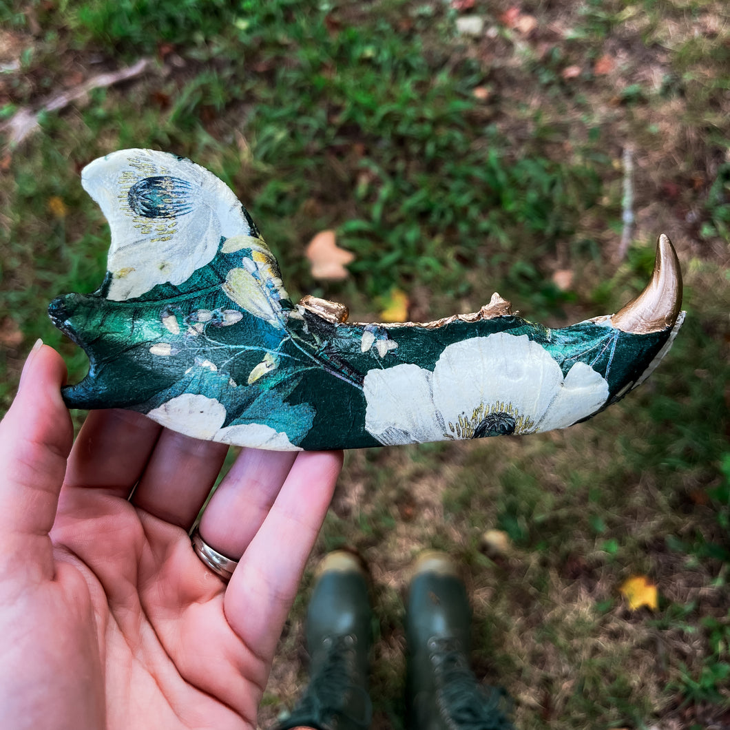 Bear Jawbone