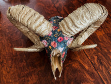 Load image into Gallery viewer, Ram Skull
