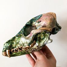 Load image into Gallery viewer, Coyote Skull
