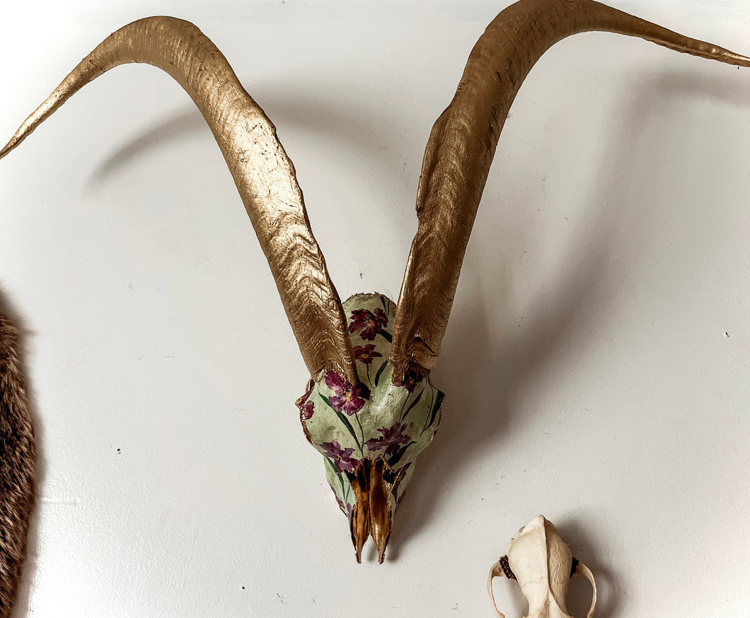 Ram Skull