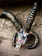 Load image into Gallery viewer, Jacobs Ram Skull
