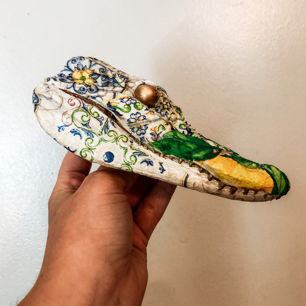 Alligator Head