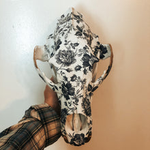 Load image into Gallery viewer, Bear Skull
