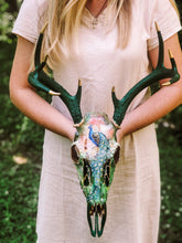 Load image into Gallery viewer, Deer Skull
